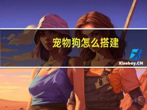 宠物狗怎么搭建