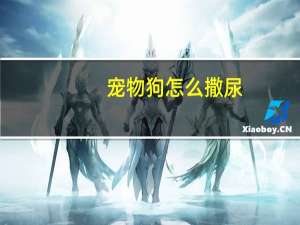 宠物狗怎么撒尿