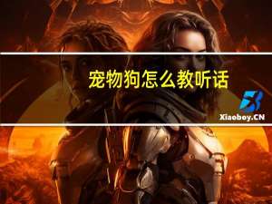 宠物狗怎么教听话