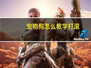 宠物狗怎么教学打滚