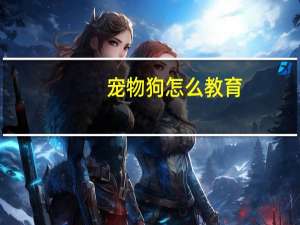 宠物狗怎么教育