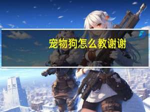 宠物狗怎么教谢谢