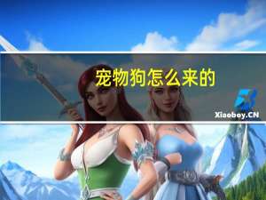 宠物狗怎么来的