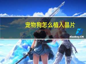 宠物狗怎么植入晶片