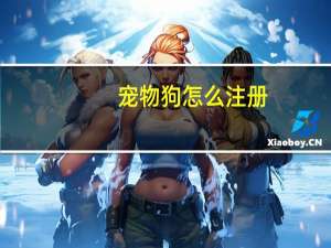 宠物狗怎么注册