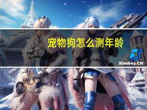 宠物狗怎么测年龄