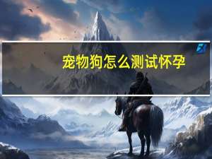 宠物狗怎么测试怀孕