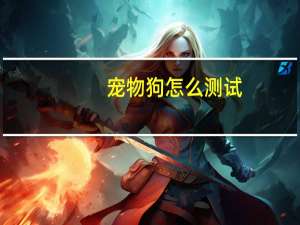 宠物狗怎么测试