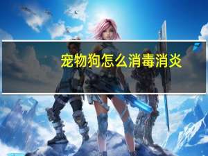 宠物狗怎么消毒消炎