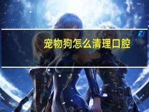 宠物狗怎么清理口腔