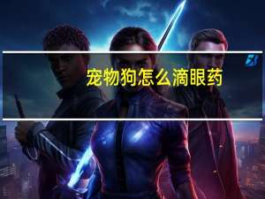 宠物狗怎么滴眼药