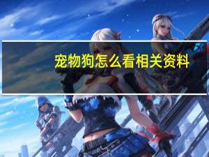 宠物狗怎么看相关资料