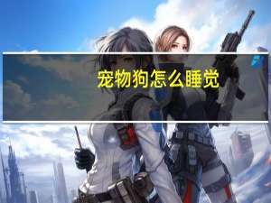 宠物狗怎么睡觉
