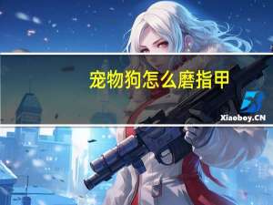 宠物狗怎么磨指甲