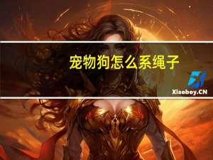 宠物狗怎么系绳子