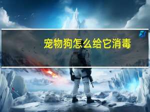 宠物狗怎么给它消毒
