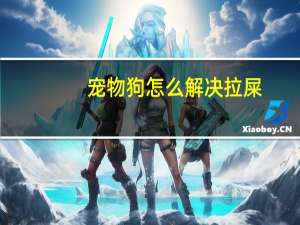 宠物狗怎么解决拉屎