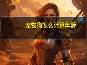 宠物狗怎么计算年龄