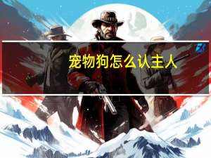宠物狗怎么认主人