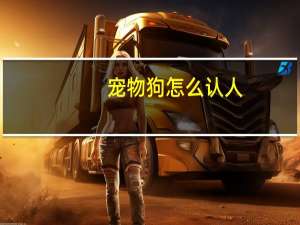 宠物狗怎么认人