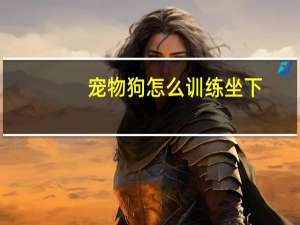 宠物狗怎么训练坐下