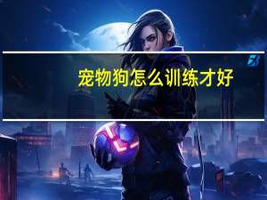 宠物狗怎么训练才好