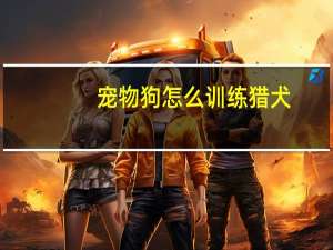 宠物狗怎么训练猎犬