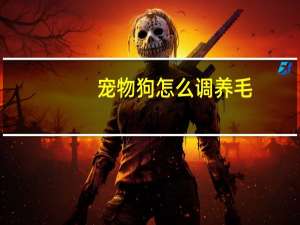 宠物狗怎么调养毛