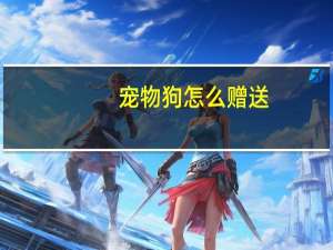 宠物狗怎么赠送