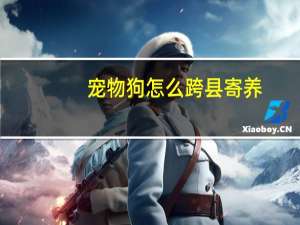 宠物狗怎么跨县寄养