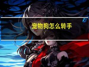 宠物狗怎么转手