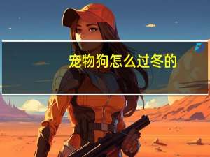 宠物狗怎么过冬的