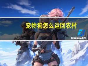 宠物狗怎么运回农村