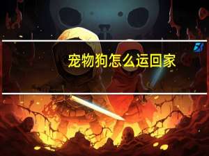 宠物狗怎么运回家