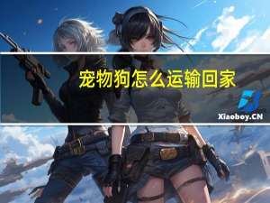 宠物狗怎么运输回家