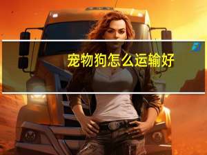 宠物狗怎么运输好