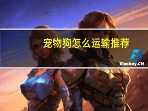 宠物狗怎么运输推荐
