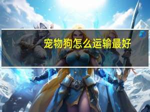 宠物狗怎么运输最好