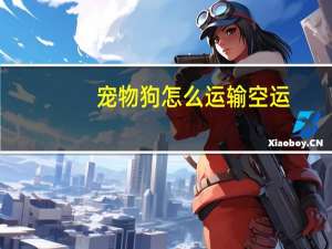 宠物狗怎么运输空运