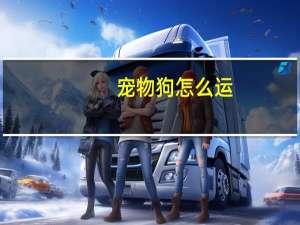 宠物狗怎么运