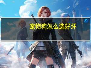 宠物狗怎么选好坏