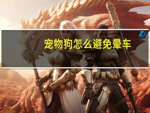 宠物狗怎么避免晕车