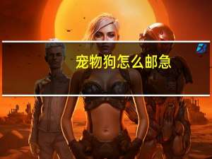 宠物狗怎么邮急