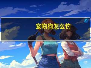 宠物狗怎么钓