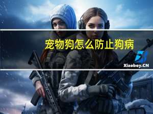 宠物狗怎么防止狗病