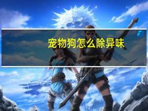 宠物狗怎么除异味