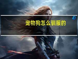宠物狗怎么驯服的