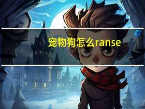 宠物狗怎么ranse