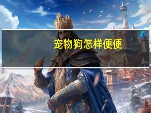 宠物狗怎样便便