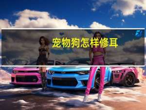 宠物狗怎样修耳